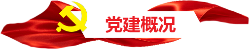 党建概况标题